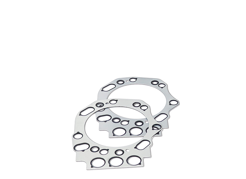 Gasket repair kit
